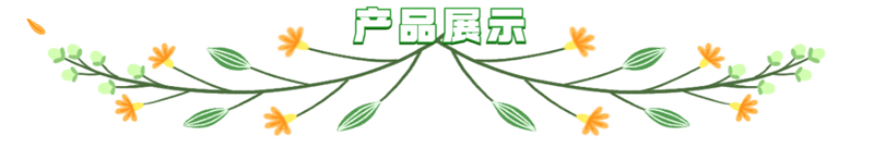 Moog-穆格 D061-8312 伺服驅動器模塊 全新無憂