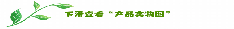 Schneider-施耐德 170MCI10001 控制器模塊 全新無憂