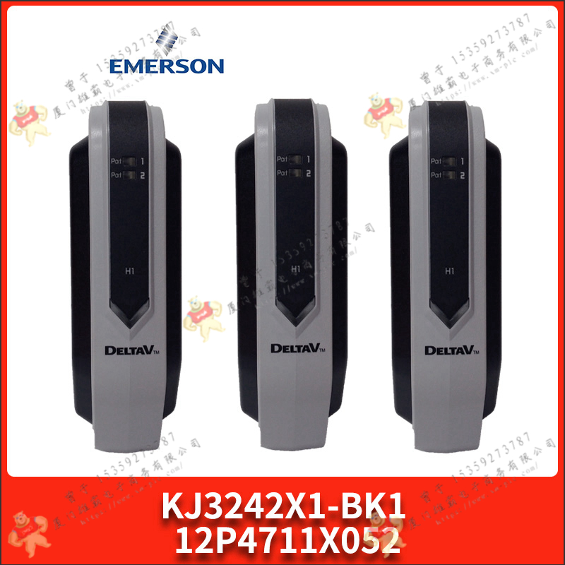 Emerson-艾默生   5X00546G09    歐美進口備件