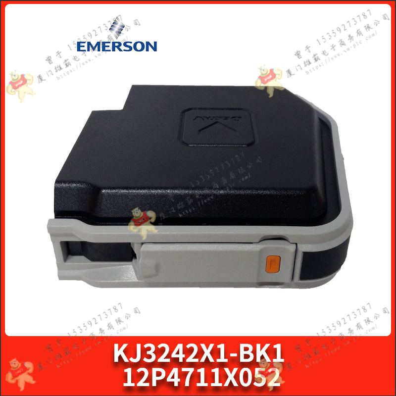 Emerson-艾默生   5X00546G07    歐美進口備件