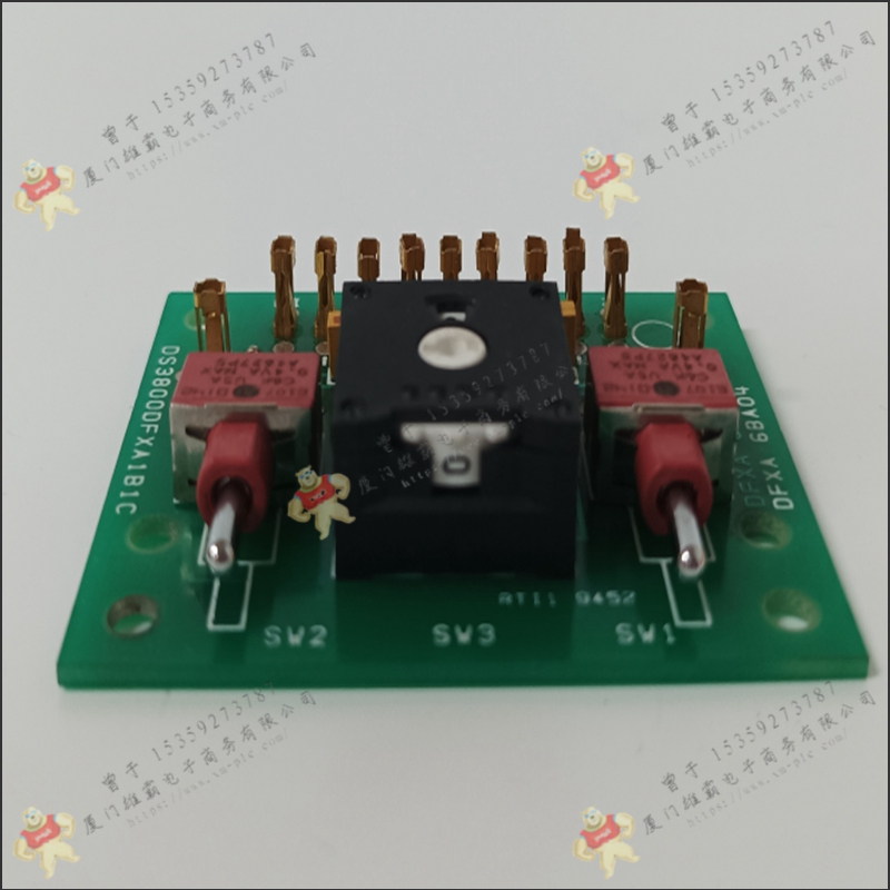 GE   DS3820PIMB    印刷電路闆    通用電氣